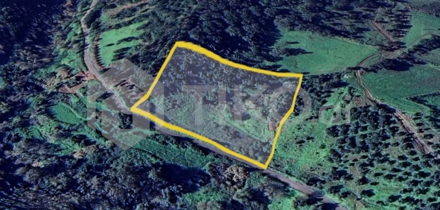 Terreno Agricola ou Rústico para Venda em Santo Antão e São Julião do Tojal Foto 12