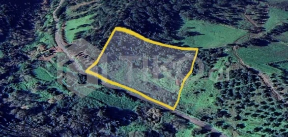 Terreno Agricola ou Rústico para Venda em Santo Antão e São Julião do Tojal