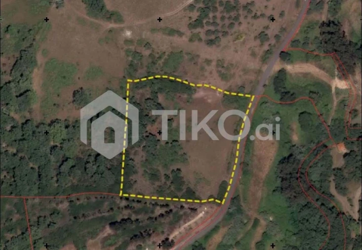 Terreno Agricola ou Rústico para Venda em Santo Antão e São Julião do Tojal Foto 1