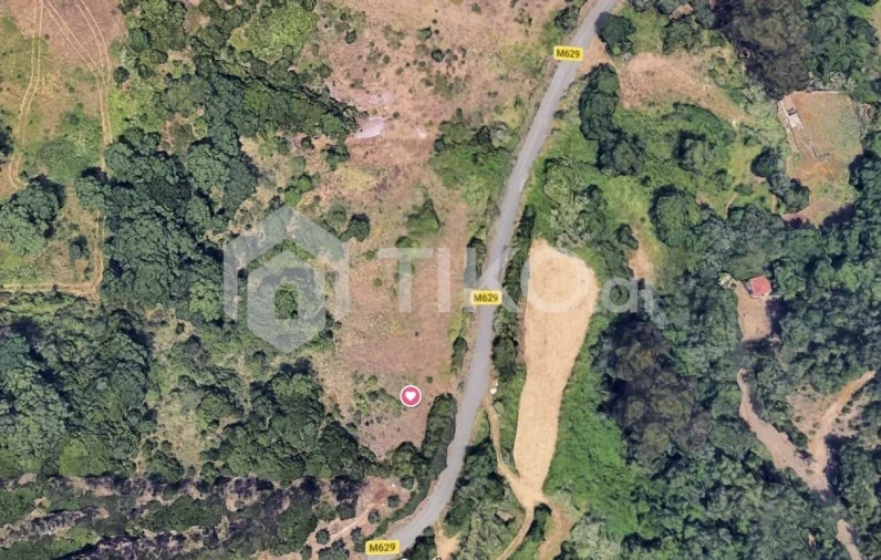 Terreno Agricola ou Rústico para Venda em Santo Antão e São Julião do Tojal Foto 11