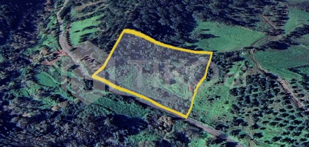 Terreno Agricola ou Rústico para Venda em Santo Antão e São Julião do Tojal Foto 12