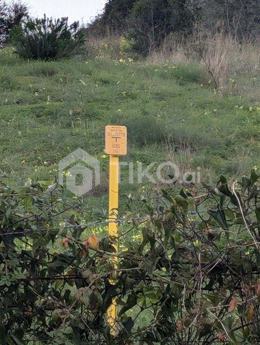 Terreno Agricola ou Rústico para Venda em Santo Antão e São Julião do Tojal Foto 21