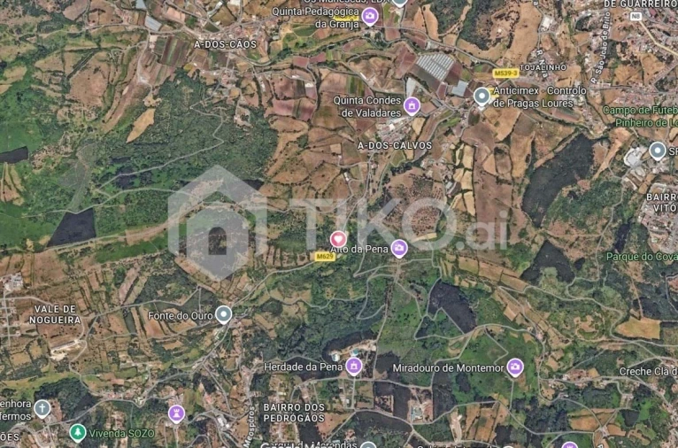 Terreno Agricola ou Rústico para Venda em Santo Antão e São Julião do Tojal Foto 9