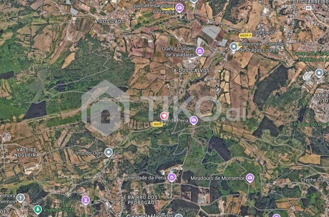 Terreno Agricola ou Rústico para Venda em Santo Antão e São Julião do Tojal Foto 9