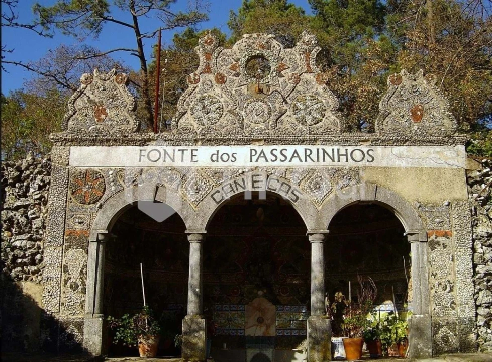 Terreno Agricola ou Rústico para Venda em Santo Antão e São Julião do Tojal Foto 15