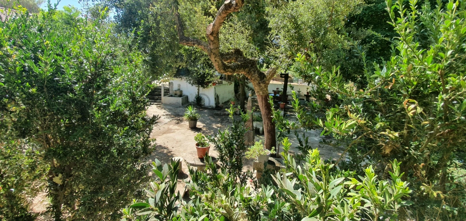 Terreno para Venda em Barcarena Foto 3