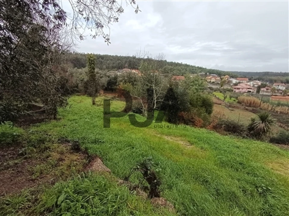 Terreno para Venda em Treixedo e Nagozela Foto 2