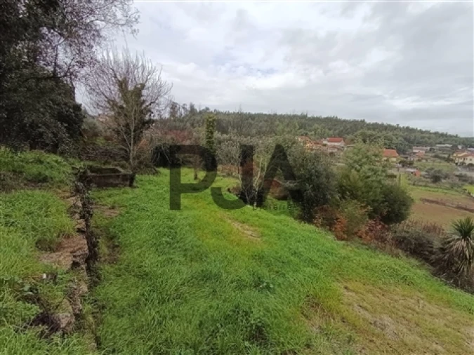 Terreno para Venda em Treixedo e Nagozela Foto 4