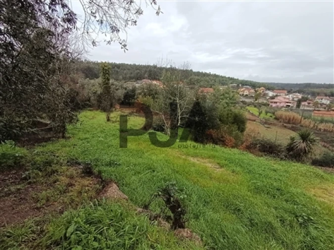 Terreno para Venda em Treixedo e Nagozela Foto 2