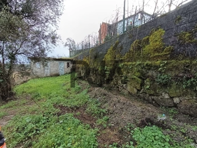 Terreno para Venda em Treixedo e Nagozela Foto 8