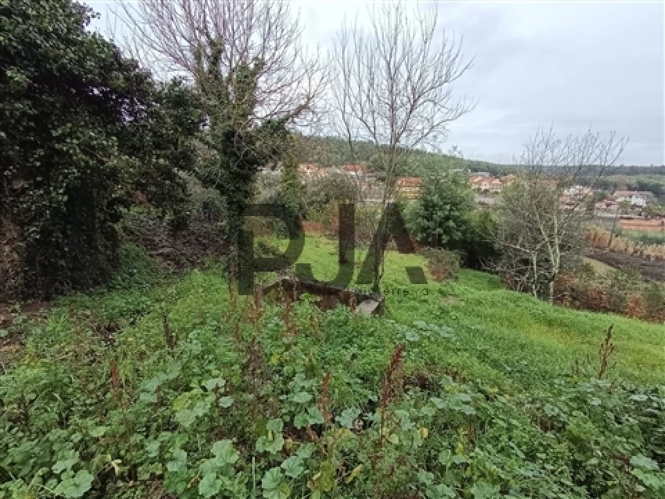 Terreno para Venda em Treixedo e Nagozela Foto 7