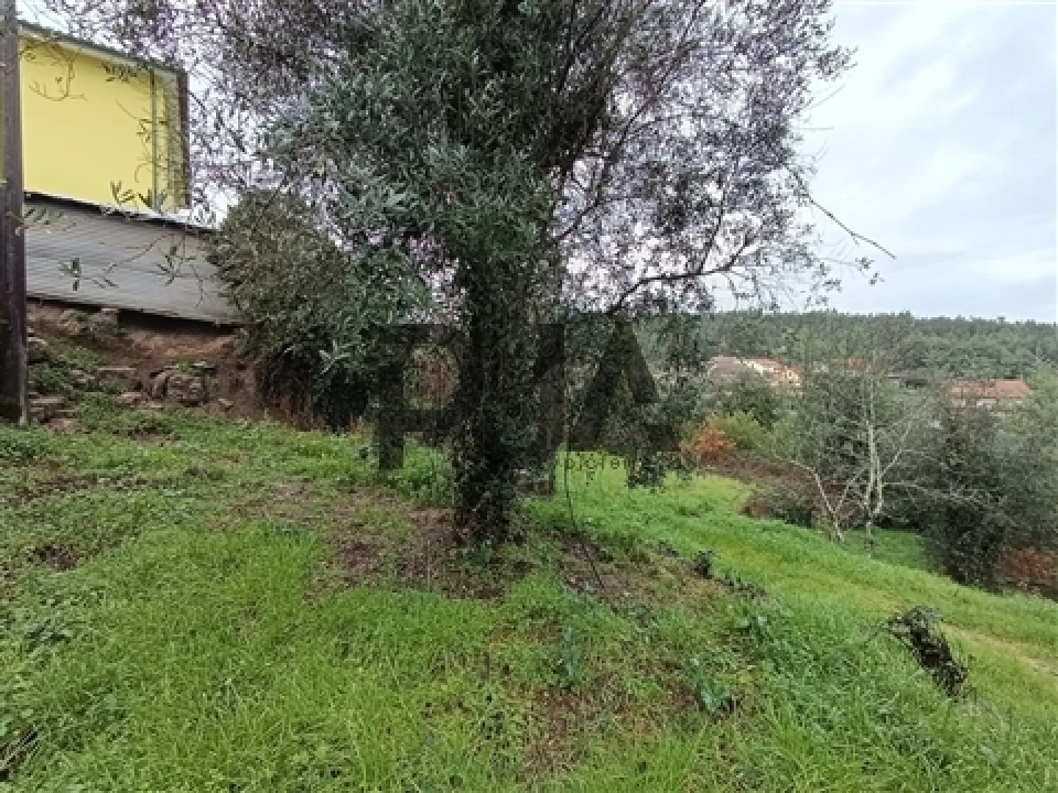 Terreno para Venda em Treixedo e Nagozela Foto 6