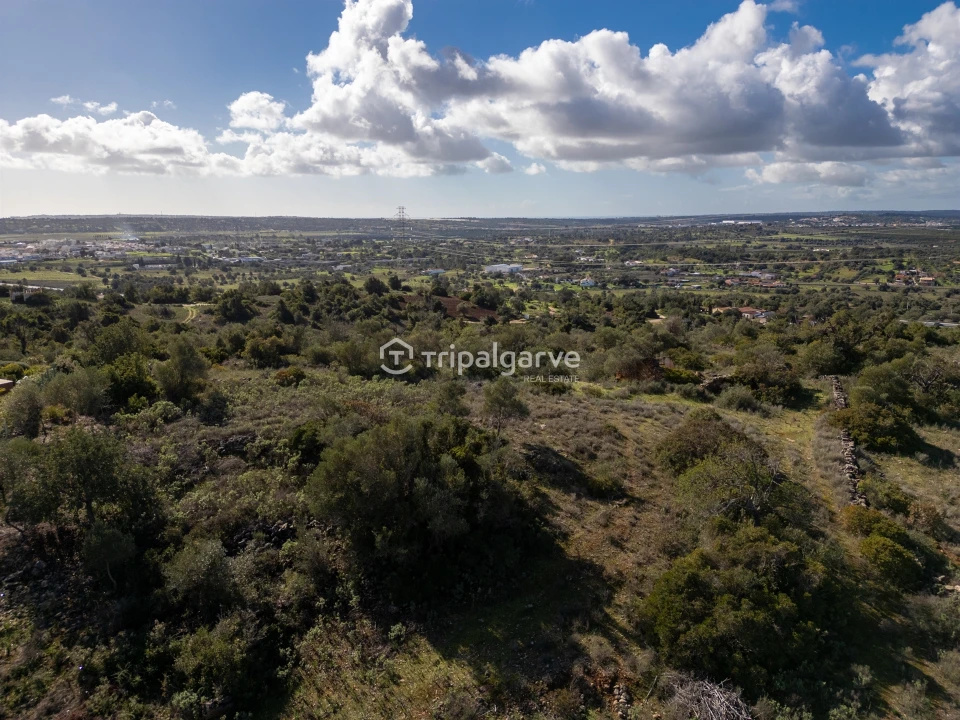 Terreno Misto para Venda em Algoz e Tunes Foto 9