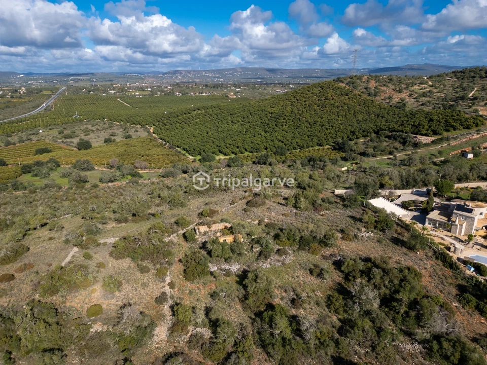 Terreno Misto para Venda em Algoz e Tunes Foto 4