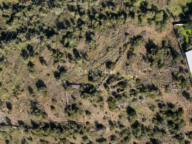 Terreno Misto para Venda em Algoz e Tunes Foto 2