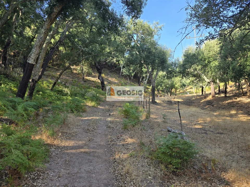 Quinta T2 para Venda em Reliquias Foto 18