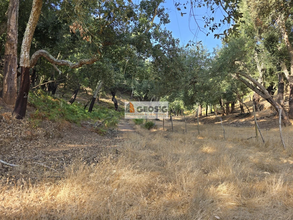 Quinta T2 para Venda em Reliquias Foto 15