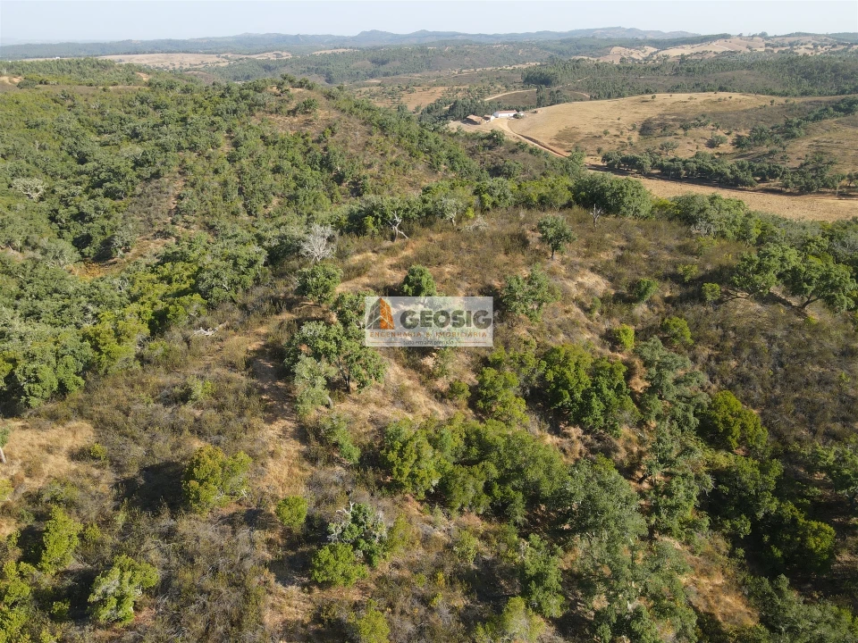 Quinta T2 para Venda em Reliquias Foto 46