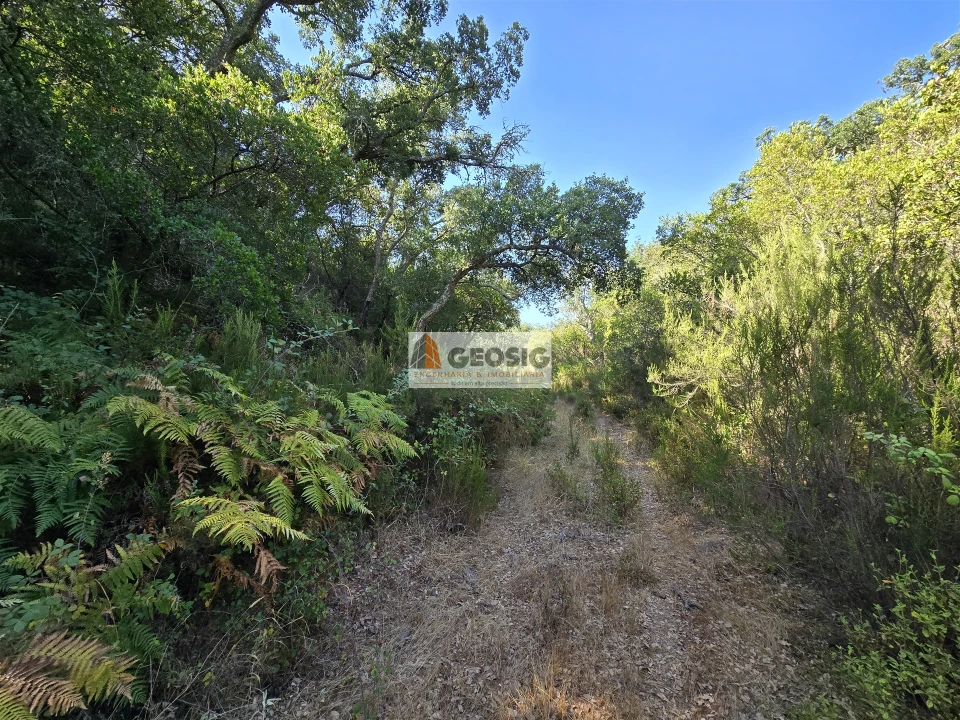 Quinta T2 para Venda em Reliquias Foto 27