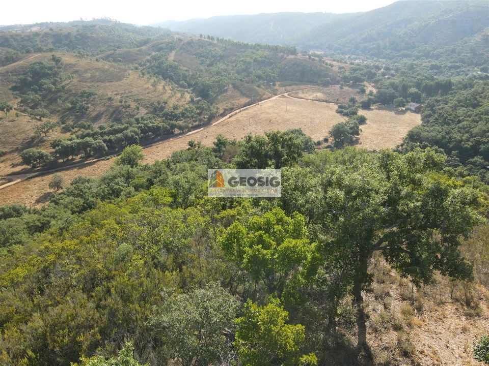 Quinta T2 para Venda em Reliquias Foto 43