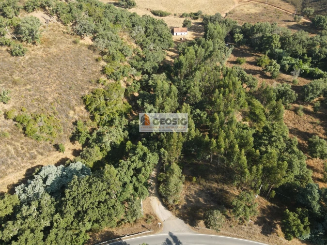 Quinta T2 para Venda em Reliquias Foto 45