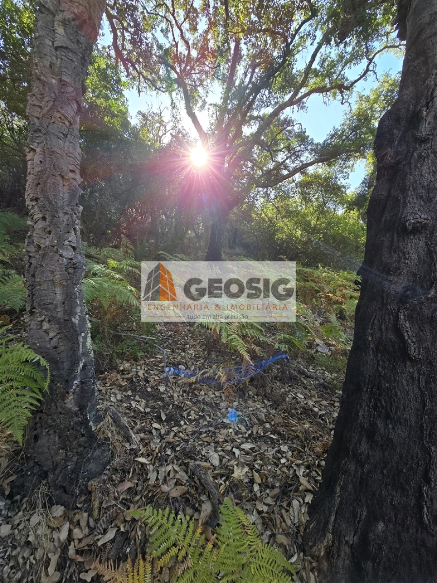 Quinta T2 para Venda em Reliquias Foto 32