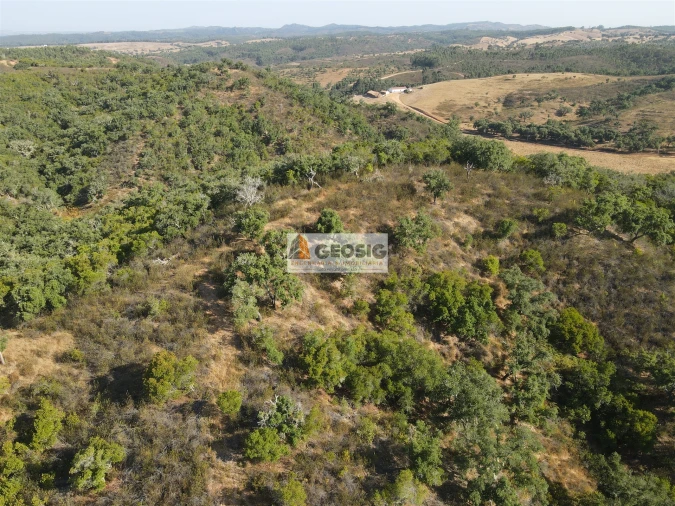 Quinta T2 para Venda em Reliquias Foto 46