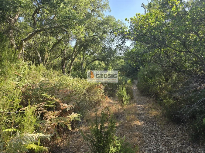 Quinta T2 para Venda em Reliquias Foto 26