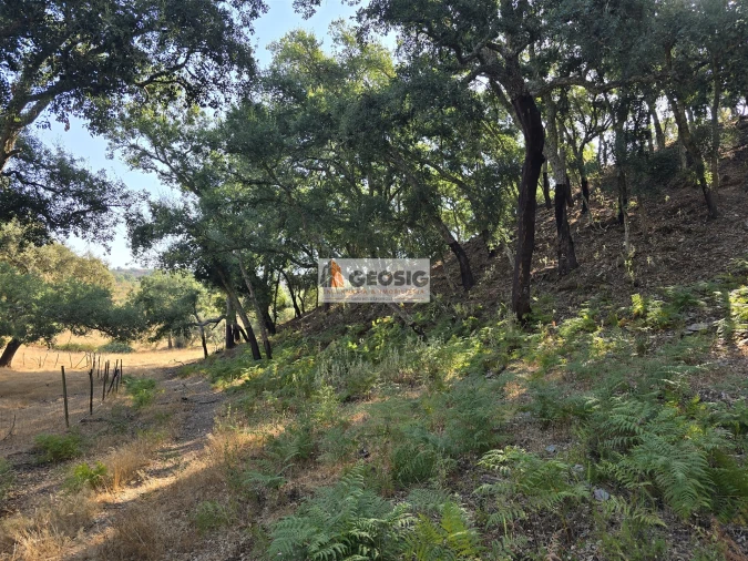 Quinta T2 para Venda em Reliquias Foto 19