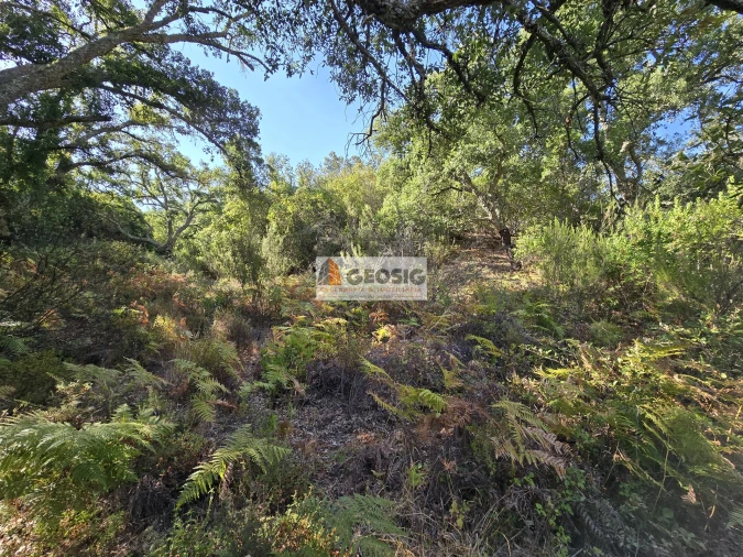 Quinta T2 para Venda em Reliquias Foto 30