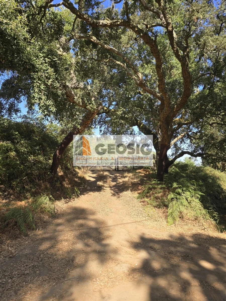 Quinta T2 para Venda em Reliquias Foto 38