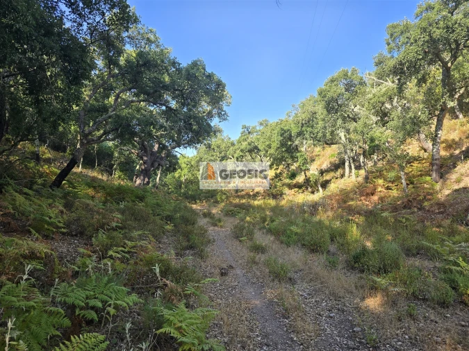 Quinta T2 para Venda em Reliquias Foto 24