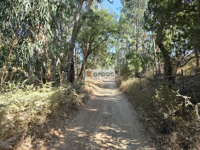 Quinta T2 para Venda em Reliquias Foto 40