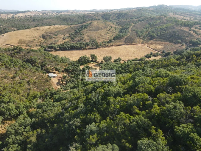 Quinta T2 para Venda em Reliquias Foto 47