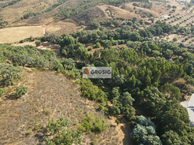 Quinta T2 para Venda em Reliquias Foto 44