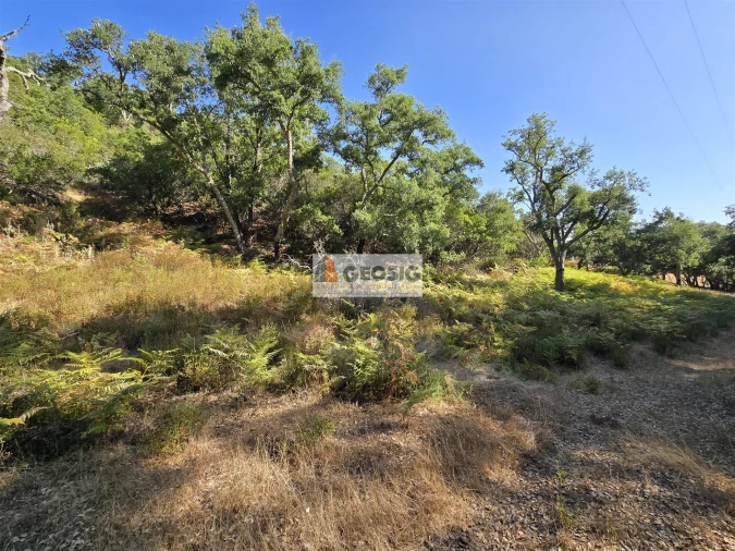 Quinta T2 para Venda em Reliquias Foto 22