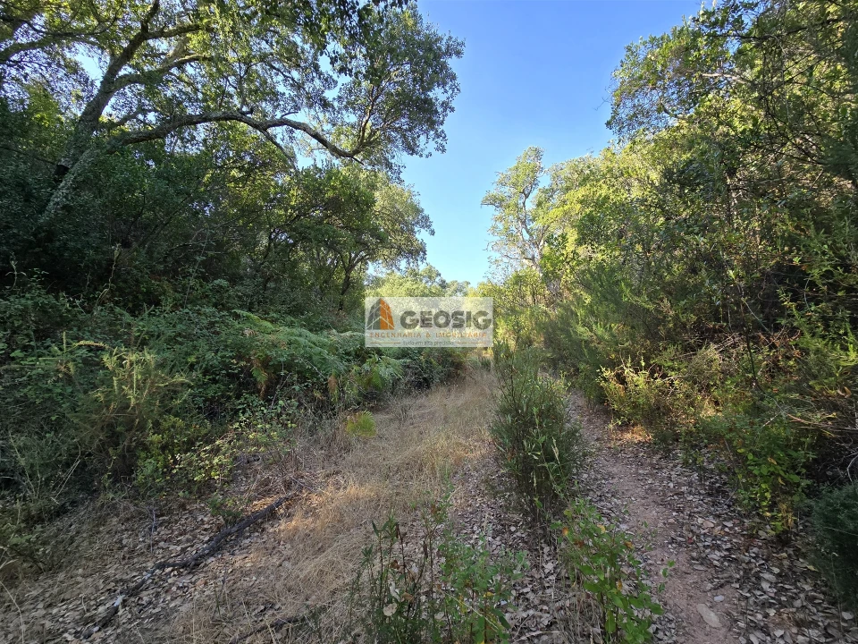 Quinta T2 para Venda em Reliquias Foto 28