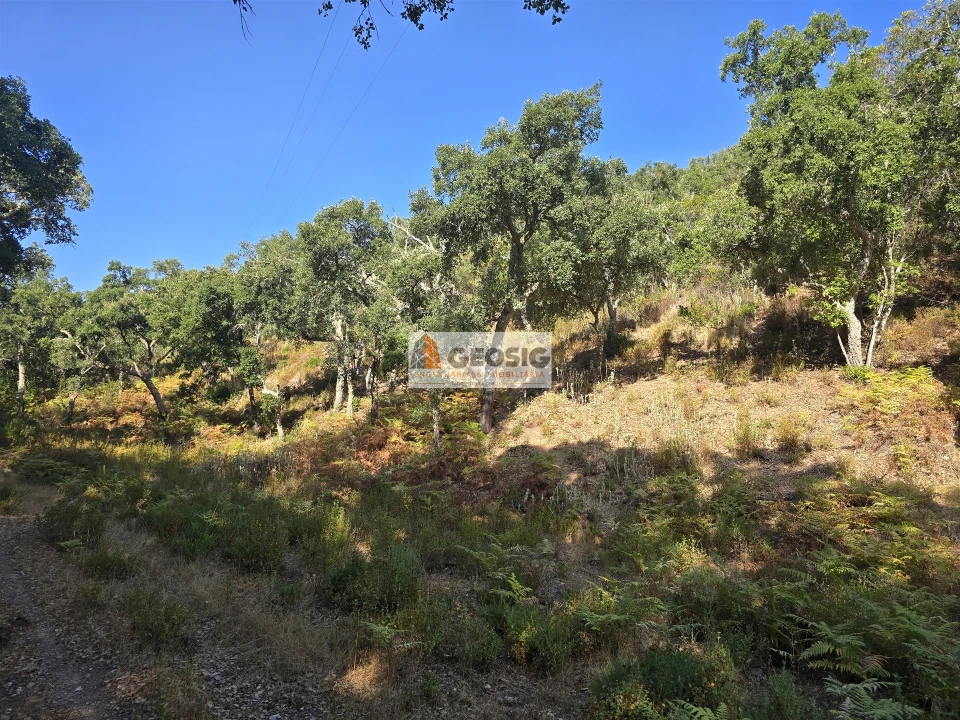 Quinta T2 para Venda em Reliquias Foto 25