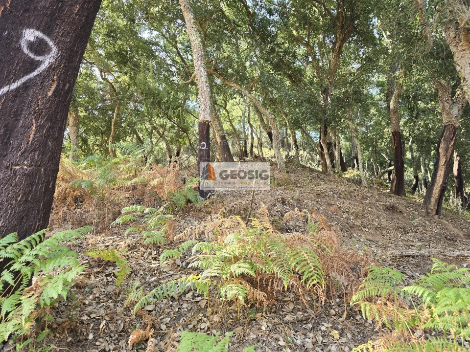 Quinta T2 para Venda em Reliquias Foto 17