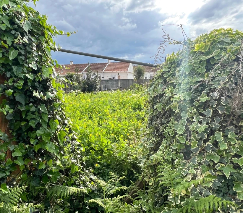 Terreno para Venda em Aldoar, Foz do Douro e Nevogilde Foto 1
