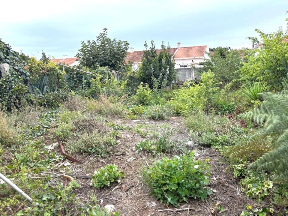 Terreno para Venda em Aldoar, Foz do Douro e Nevogilde Foto 3
