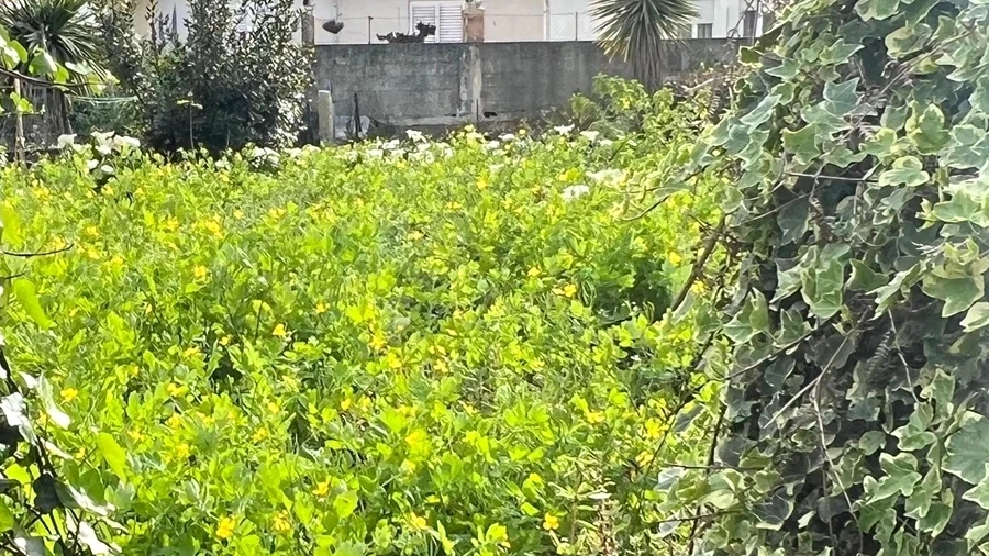 Terreno para Venda em Aldoar, Foz do Douro e Nevogilde