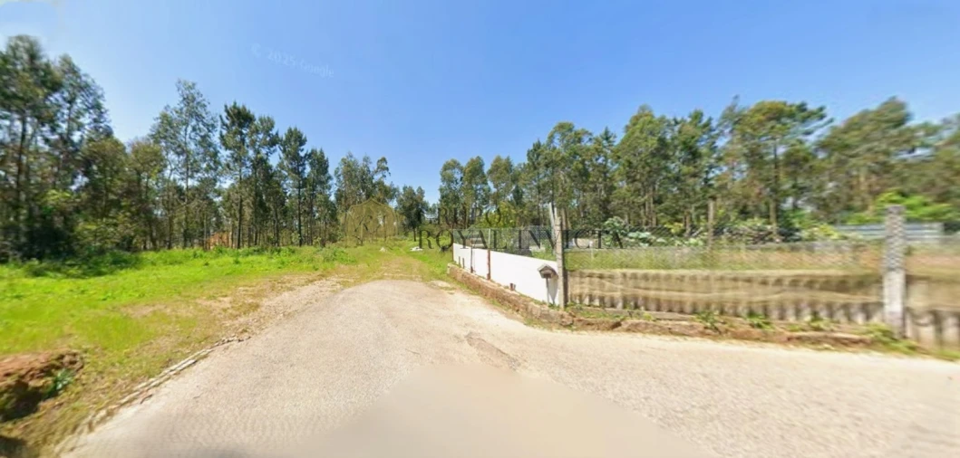 Terreno Agricola ou Rústico para Venda em Serzedo e Perosinho Foto 5