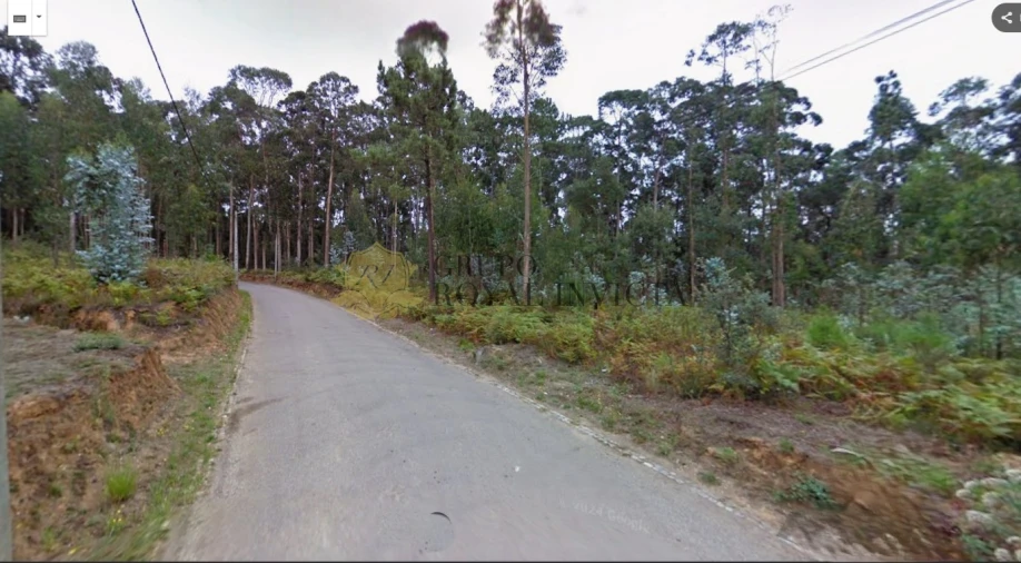Terreno Agricola ou Rústico para Venda em Serzedo e Perosinho Foto 4