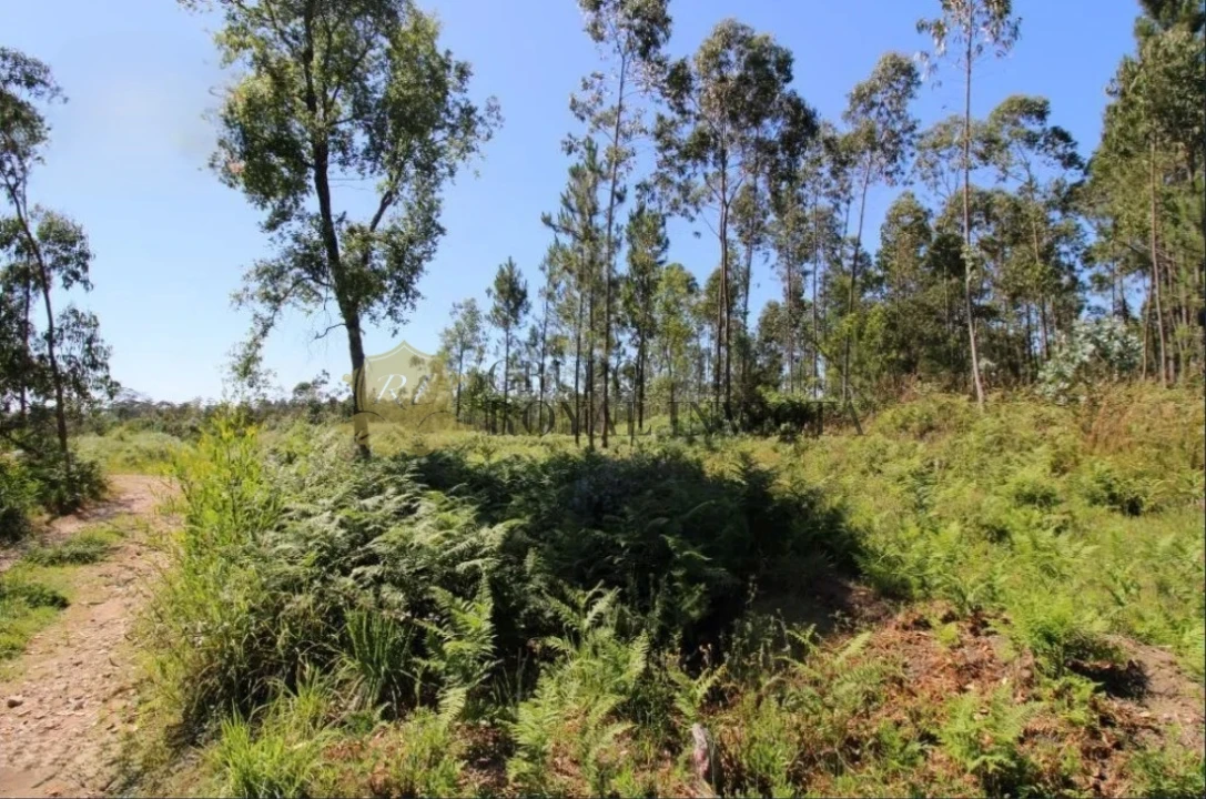 Terreno Agricola ou Rústico para Venda em Serzedo e Perosinho Foto 7
