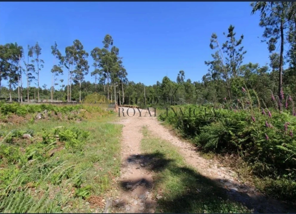 Terreno Agricola ou Rústico para Venda em Serzedo e Perosinho Foto 6