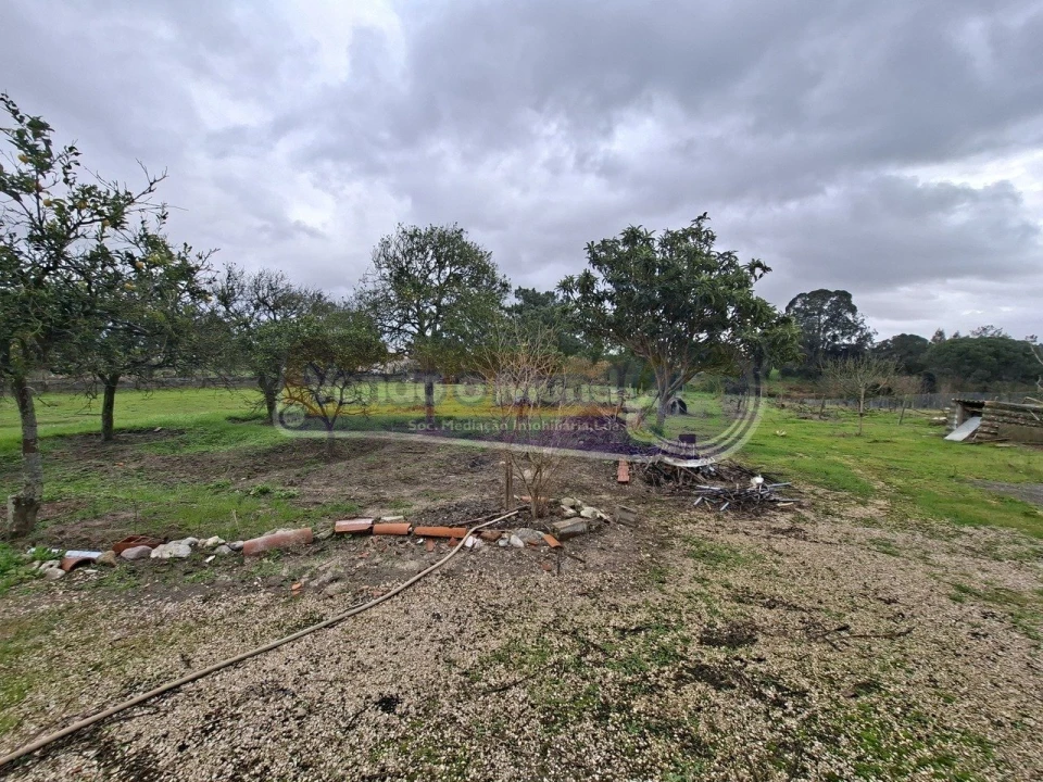 Moradia T3 para Venda em Marinhais Foto 12