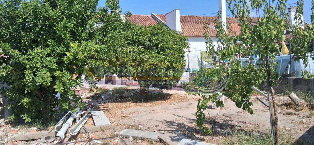 Moradia T3 para Venda em Mora Foto 12