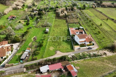Terreno para Venda em Antuzede e Vil de Matos