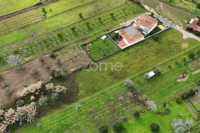 Terreno para Venda em Antuzede e Vil de Matos